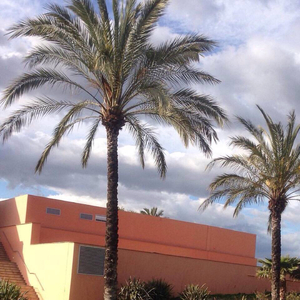 老师脱了乳罩让我吃她奶在线观看
