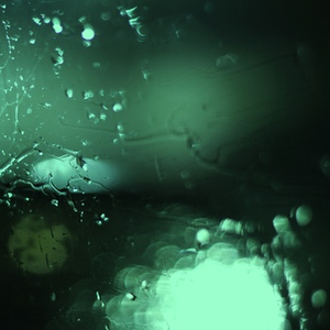 老师脱了乳罩让我吃她奶在线观看
